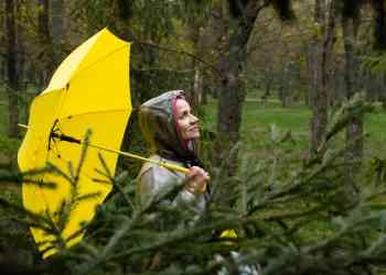 Disaster Management and Resilience Education