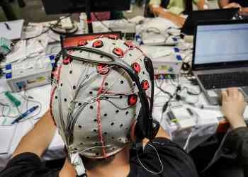 Brain-Computer Interface Education