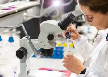 Educational Neuroscience Research