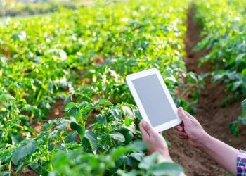 AgTech and Precision Agriculture